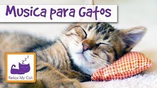 Música para Gatos  Relax Sus gatos con Música [upl. by Lezah187]