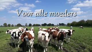 Voor alle moeders moederdag happyfarmlife [upl. by Salohcim775]