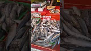 tulingan at galunggong viralvideo business seafood fishing fish [upl. by Mischa]