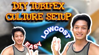 TUBIFEX WORMS CULTURE SETUPeasy and lowcost [upl. by Eetak]