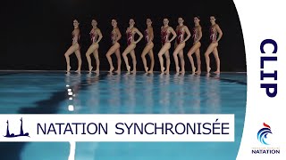 Grâce et Performance  La Natation Synchronisée par lEquipe de France  CLIP [upl. by Neersin]