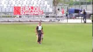 Orcan vom Further Moor Obedience FMBB 2013finals [upl. by Aikat]