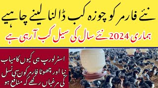 Best poultry breeds In Pakistan  how to start poultry farming [upl. by Ahsart]