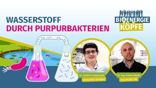 Wasserstoff durch Purpurbakterien  Projekt RhoTech Bioenergieköpfe 2 [upl. by Eek]