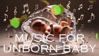 Music for pregnancy and unborn babies brain development [upl. by Gauldin549]