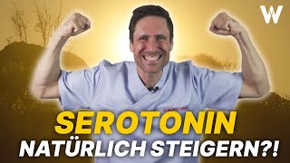 Serotonin Hast DU genug Chefhormon Glückshormon und Wunderwaffe gegen Depression amp mehr [upl. by Ennirac869]