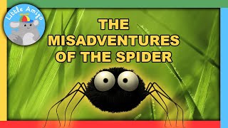 Minuscule  Best of the Spider 🕷️  Compilation  Little Amigo [upl. by Arval618]