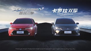 New Corolla and Levin Guangzhou Motor Show reveal video [upl. by Anya]