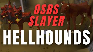 OSRS Slayer  HELLHOUNDS  Why they arent a bad task [upl. by Llerroj]