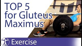 Top 5 Gluteus Maximus Exercises [upl. by Liuqa]