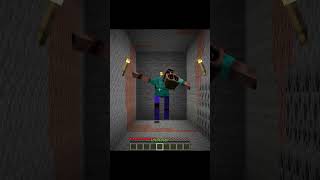 Minecraft cool mods [upl. by Fachanan]