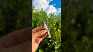 ASMR ☀️ Enjoying a Flying Pig Maduro cigar by Drew Estate 🪽🐷 cigar asmr shorts relaxing vibes [upl. by Ynnahc]