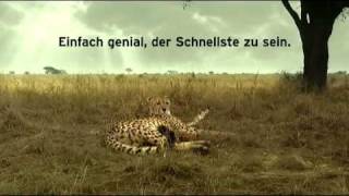 upc cablecom Gepard  Einfach genial der Schnellste zu sein [upl. by Asirak]