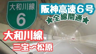 【祝・開通】阪神高速6号大和川線 三宝～松原JCT 開通直後走行動画 [upl. by Amabel]