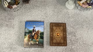 ReviewApresentação baralho  Thelema  Lenormand de Renata Lechner [upl. by Ahsim763]