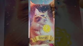 Magicae Cattus Oracle Cards Readings For Free  Yuj Healing Decks [upl. by Aid903]