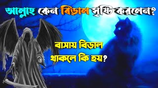 আল্লাহ বিড়ালকে কেন সৃষ্টি করেছেন motivebangla [upl. by Llehsor]