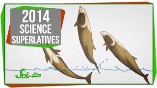 4 Science Superlatives of 2014 [upl. by Suzzy]