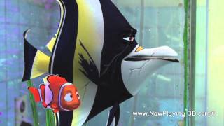 Finding Nemo 3D quotGil and Nemoquot [upl. by Bac167]