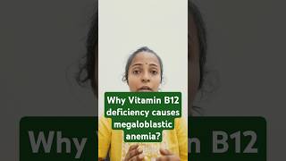 Physiology class  why Vitamin B12 deficiency causes megaloblastic anemia [upl. by Suoivart248]