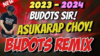 BUDOTS SIR X ASUKARAP CHOY  BUDOTS REMIX 2023  DJ JOHNREY DISCO REMIX [upl. by Savdeep]