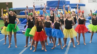 Tairawhiti students give it their all at School Gymnastics Festival [upl. by Garlanda172]