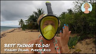 Best Things to Do on Vieques in Puerto Rico [upl. by Wivinia]