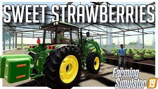 STRAWBERRIES ARE COMING UP  COUNTY LINE ROLEPLAY  FARMING SIMULATOR 19 [upl. by Gorlin]