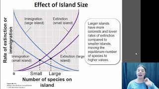 Island Biogeography [upl. by Arthur584]