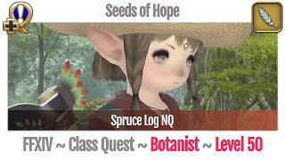 FFXIV Botanist Quest Level 50  A Realm Reborn  Seeds of Hope Spruce Log NQ [upl. by Phillips]