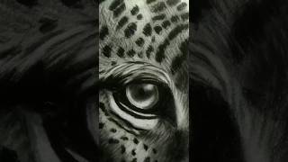 Portrait of a Leopard charcoaldrawing leopard portrait drawing myartwork art [upl. by Lombardi]