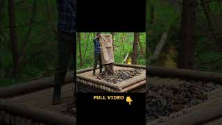 Building a natural dugout shelter Roof bushcraftimprovisation bushcraft [upl. by Fahland361]