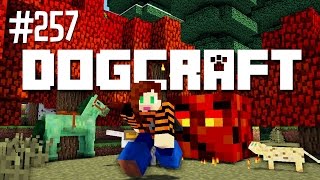 Dog DoSiDo  Dogcraft Ep257 [upl. by Iras143]