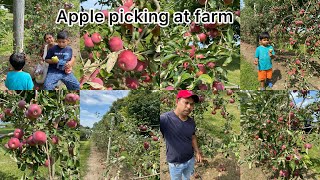 Apple Picking Memories A Day One The Farm “ [upl. by Reynold]