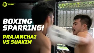 Prajanchai VS SuaKim Boxing Sparring  ONE Championship [upl. by Klarrisa]