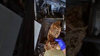 Air filter box Dodge Ram 1500 Hemi 57 L V8 hemi [upl. by Enelyad]