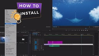 How to install and use our 500 Transitions for Premiere Pro  Vamify [upl. by Elleniad316]