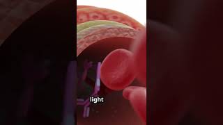 Biomarker Detection Simplified Homogeneous Luminescence Assay biomarkers immunoassay [upl. by Thomson]