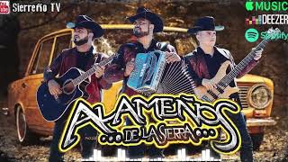 Popurri Alameños de La Sierra MEGA MIX 🔥 Puro Excelentes Bailes De Alameños [upl. by Ryun509]