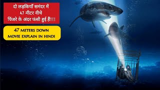 47 Meters Down 2017 Movie Explained in Hindi Urdu [upl. by Anaitsirc652]