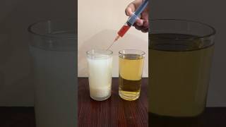 Simple Iodine solution vs starch water Experiment  Easy science experiment  youtubeshorts 😱😱 [upl. by Pamela474]