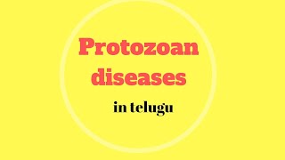 Protozoan diseases in Telugu ZOOLOGY [upl. by Luht]