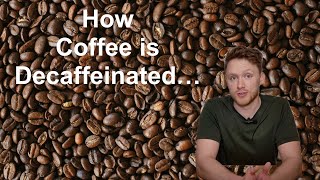 Coffee Decaffeination Explained [upl. by Consuelo]