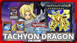 TACHYON DRAGON  YOU CAN REACH KOG BY USING THIS DECK  OCTOBER 2024 YuGiOh Duel Links [upl. by Loveridge333]