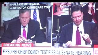 The quotComey Hearingquot Song [upl. by Nylatsirhc]