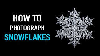 How to Photograph Snowflakes – Snowflake photography with Don Komarechka [upl. by Odelia457]