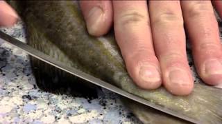 HowTo Fillet Fish with Rapala® Knives [upl. by Tisbe762]