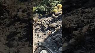 MTB ALPUJARRA ENDURO 2 [upl. by Natale392]