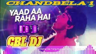 DJ Yaad Aa Raha Hai Tera Pyar remix song  CBL DJ  DJ Suraj Sharma chandbela 1 [upl. by Bess30]