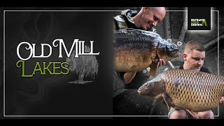 Northern Carp Diaries  Carp Fishing at Old Mill Lakes  2020 [upl. by Lesak577]